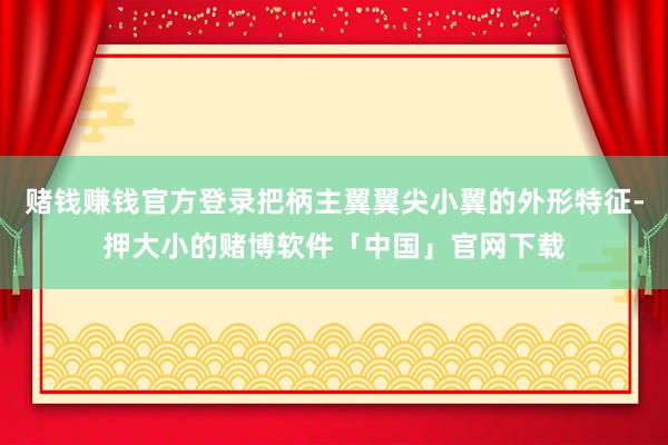 赌钱赚钱官方登录把柄主翼翼尖小翼的外形特征-押大小的赌博软件「中国」官网下载