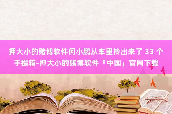 押大小的赌博软件何小鹏从车里拎出来了 33 个手提箱-押大小的赌博软件「中国」官网下载