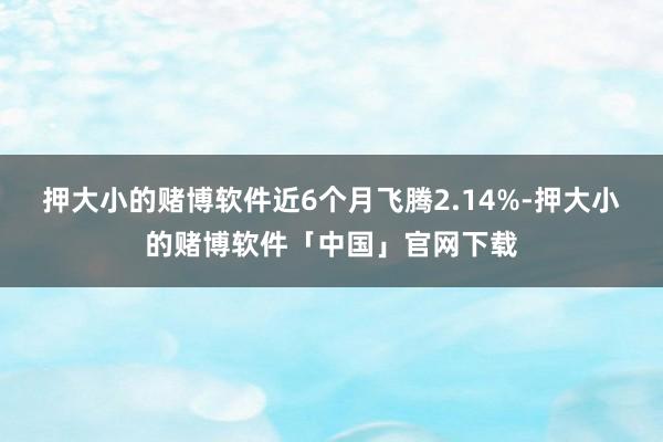 押大小的赌博软件近6个月飞腾2.14%-押大小的赌博软件「中国」官网下载