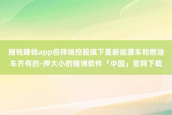 赌钱赚钱app但祥瑞控股旗下是新能源车和燃油车齐有的-押大小的赌博软件「中国」官网下载