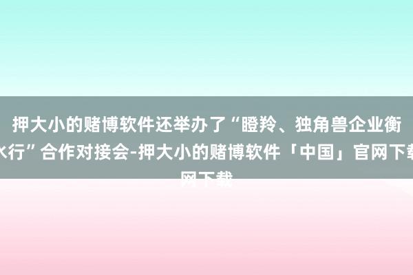 押大小的赌博软件还举办了“瞪羚、独角兽企业衡水行”合作对接会-押大小的赌博软件「中国」官网下载