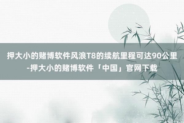 押大小的赌博软件风浪T8的续航里程可达90公里-押大小的赌博软件「中国」官网下载